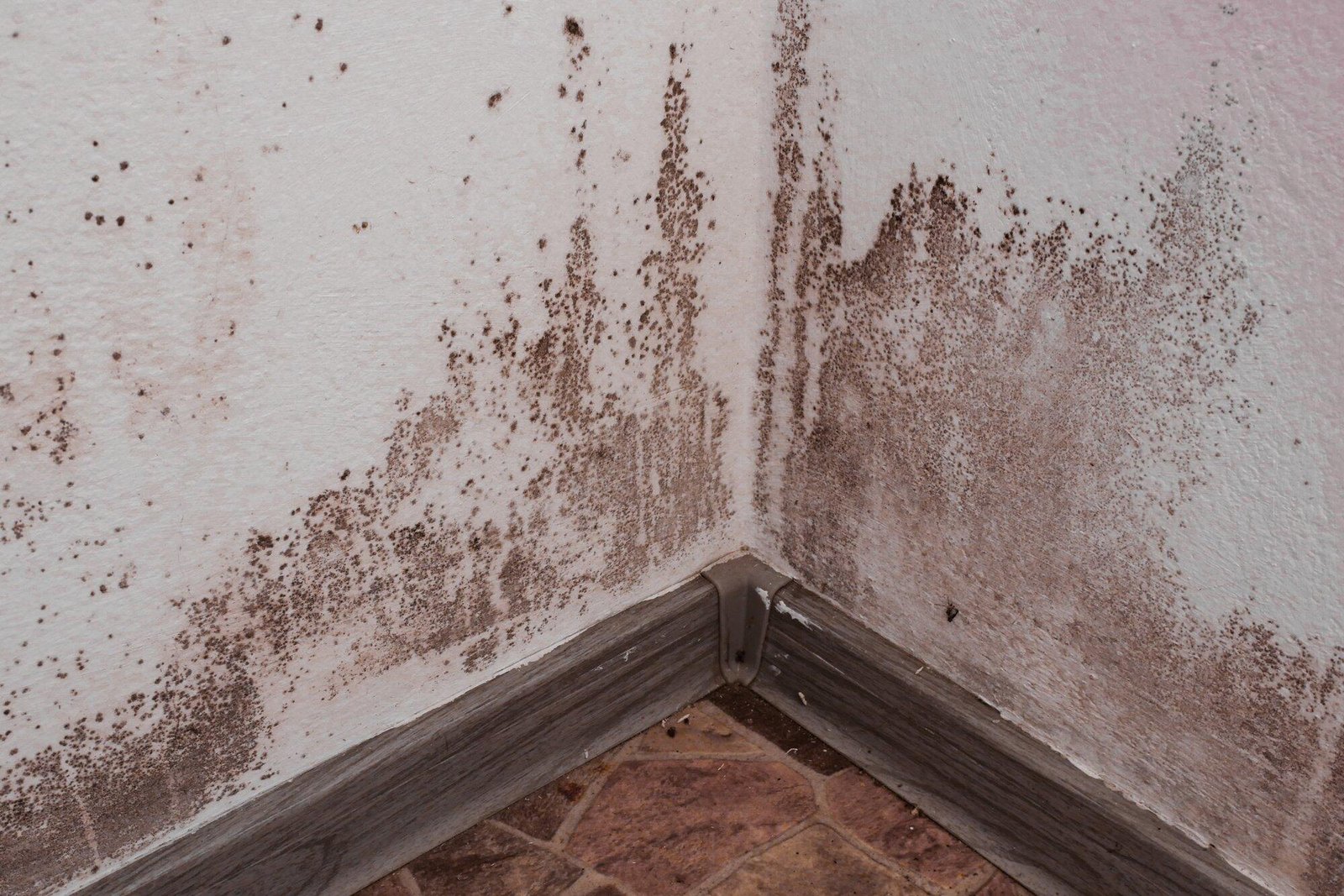 basement foundation